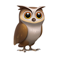 Tutor